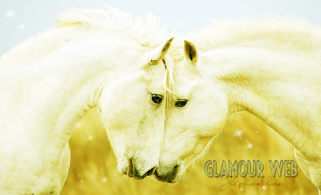 The place of horses*Glamour-web*